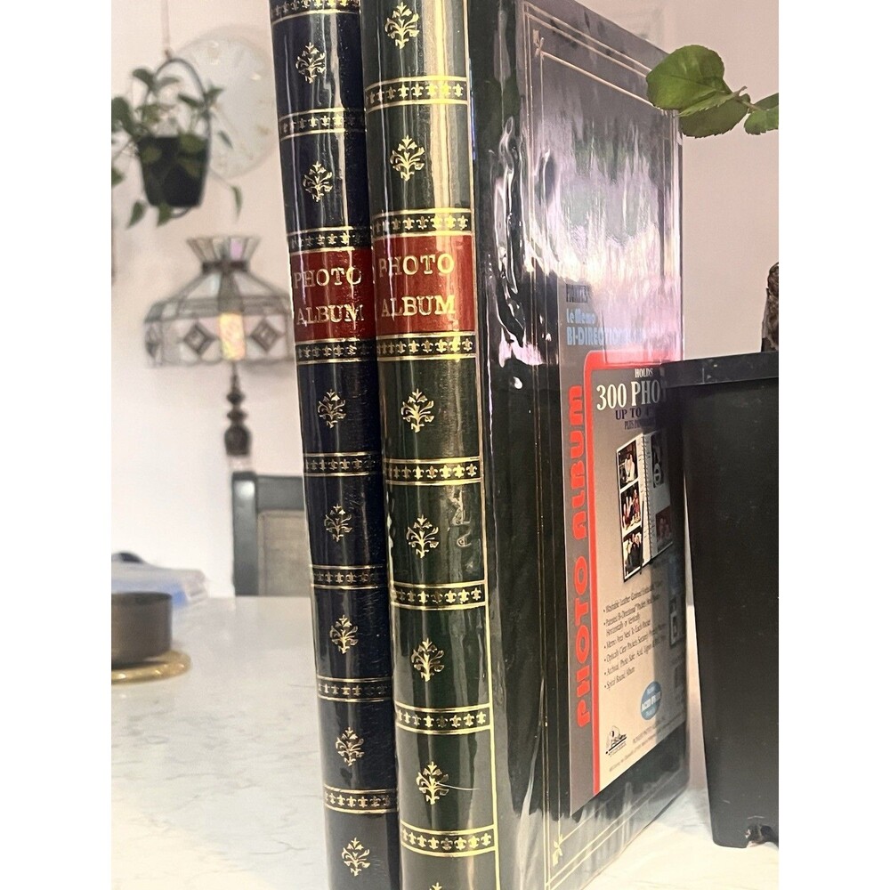 Vintage Pioneer LM300 Slip-in Photo Albums Set of 2 – Green/Navy Blue Gold
